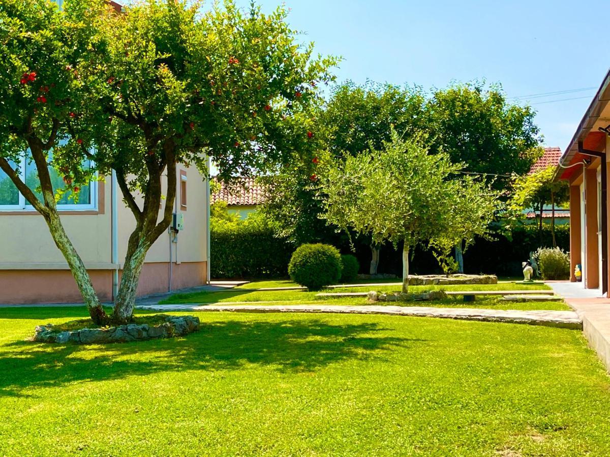 Apartment Helena Airport Podgorica Eksteriør bilde